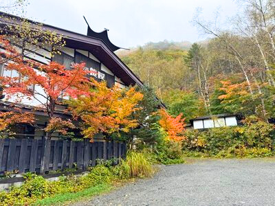 ★紅葉情報★10月23日