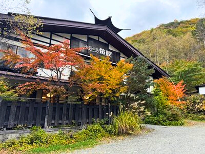 ★紅葉情報★10月22日